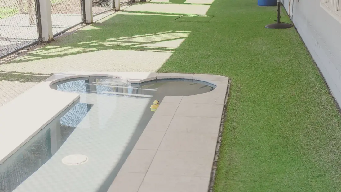 The covered turf play run at the boarding facility, with a bone-shaped splash pool