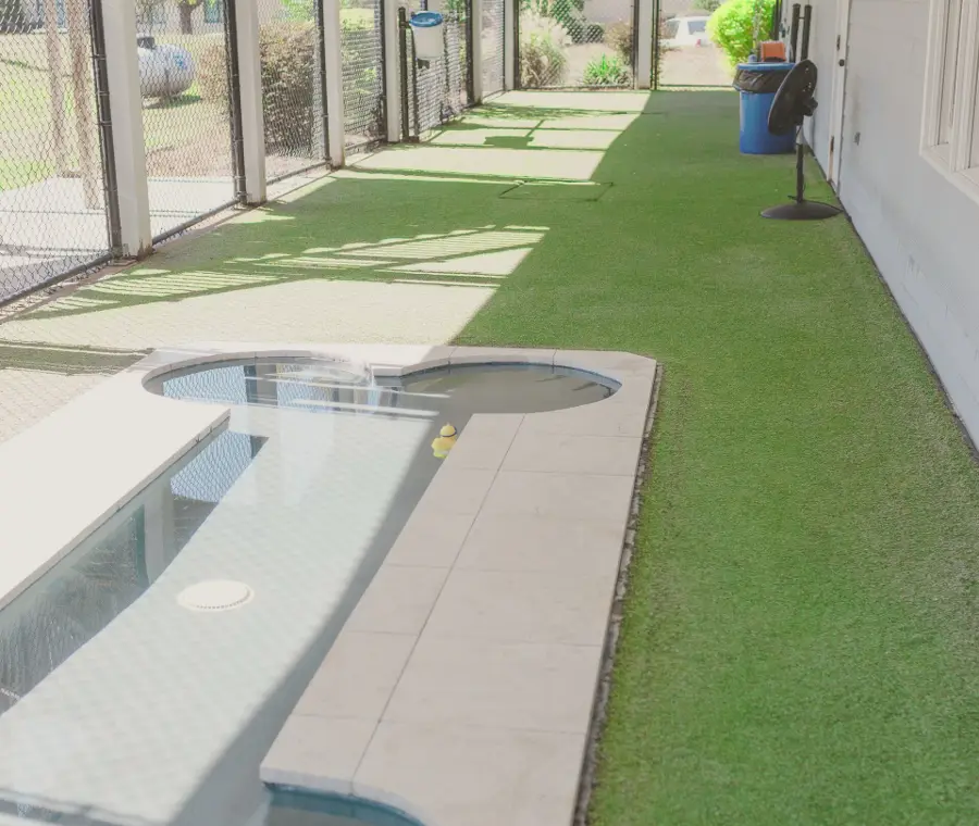The covered turf play run beside the boarding facility, with a bone-shaped splash pool