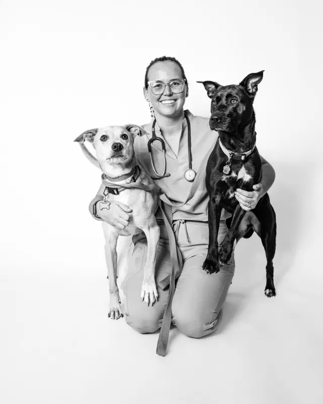 Dr. Antal kneeling with an arm around each of two dogs